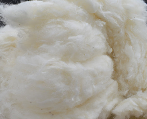 Raw Cotton Fiber-100% Organic